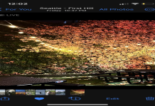 Get great results with photography with continuous light? (Pro tips for making your images look super amazing always)