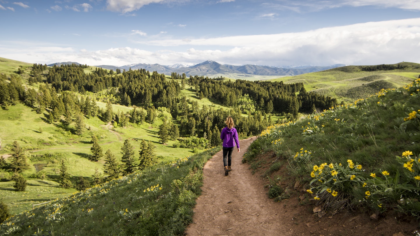 Bozeman Hikes: Top Trails You Need to Explore Now!
