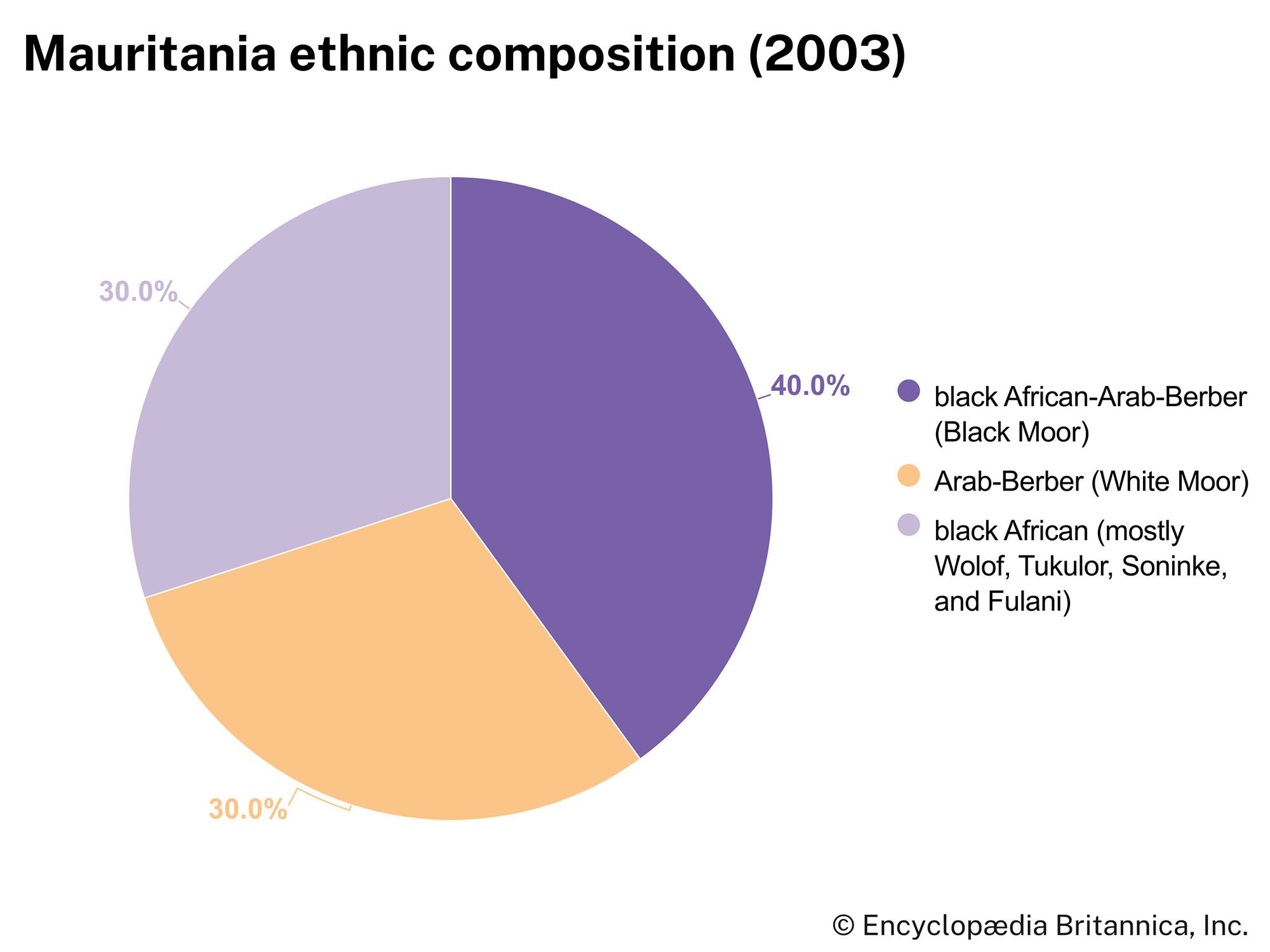 What languages of Mauritania dominate daily life? Understand their cultural impact and usage easily!