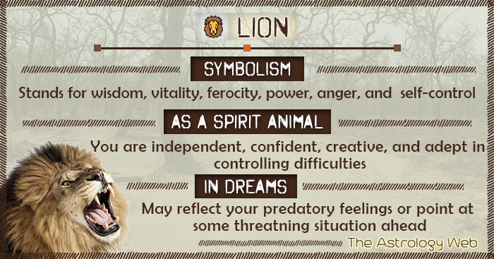 Find Your Spirit Animal Understanding Lion Spiritual Meaning Explained