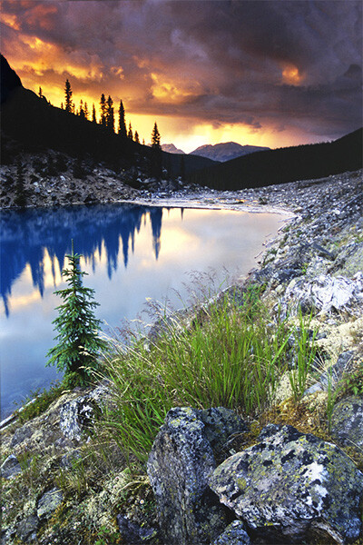 Best Places for Vertical Panorama Shooting Top Locations Revealed