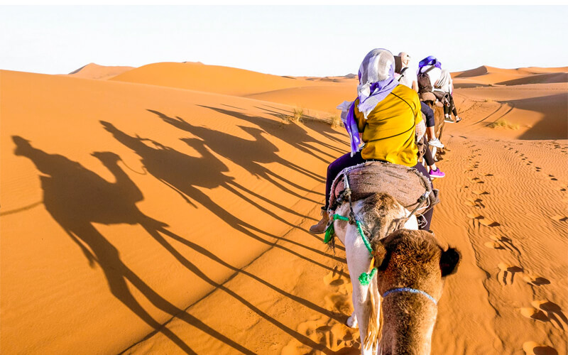 So, what things can you do in the Middle East? Find exciting activities from desert safaris to city tours.
