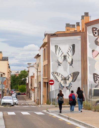 Thinking about how to get involved in global street arts festivals? Find out what you need to become a part.