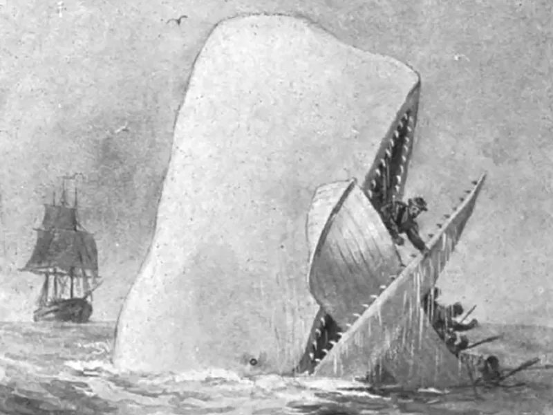 Why is the survivors of the whaleship essex story famous? It is the true tale that helped inspire Moby Dick!