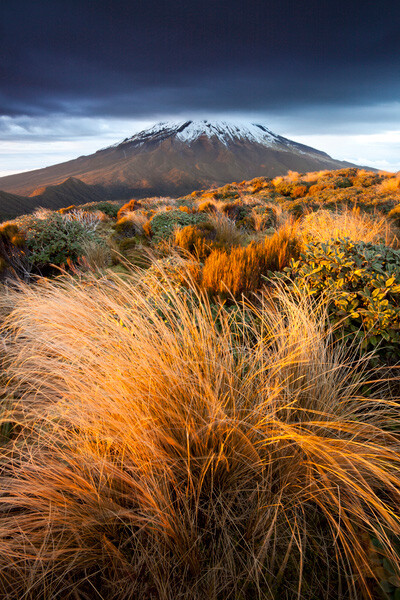 Best Places for Vertical Panorama Shooting Top Locations Revealed