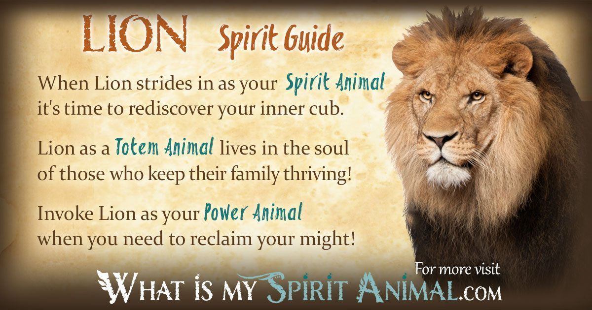 Find Your Spirit Animal Understanding Lion Spiritual Meaning Explained