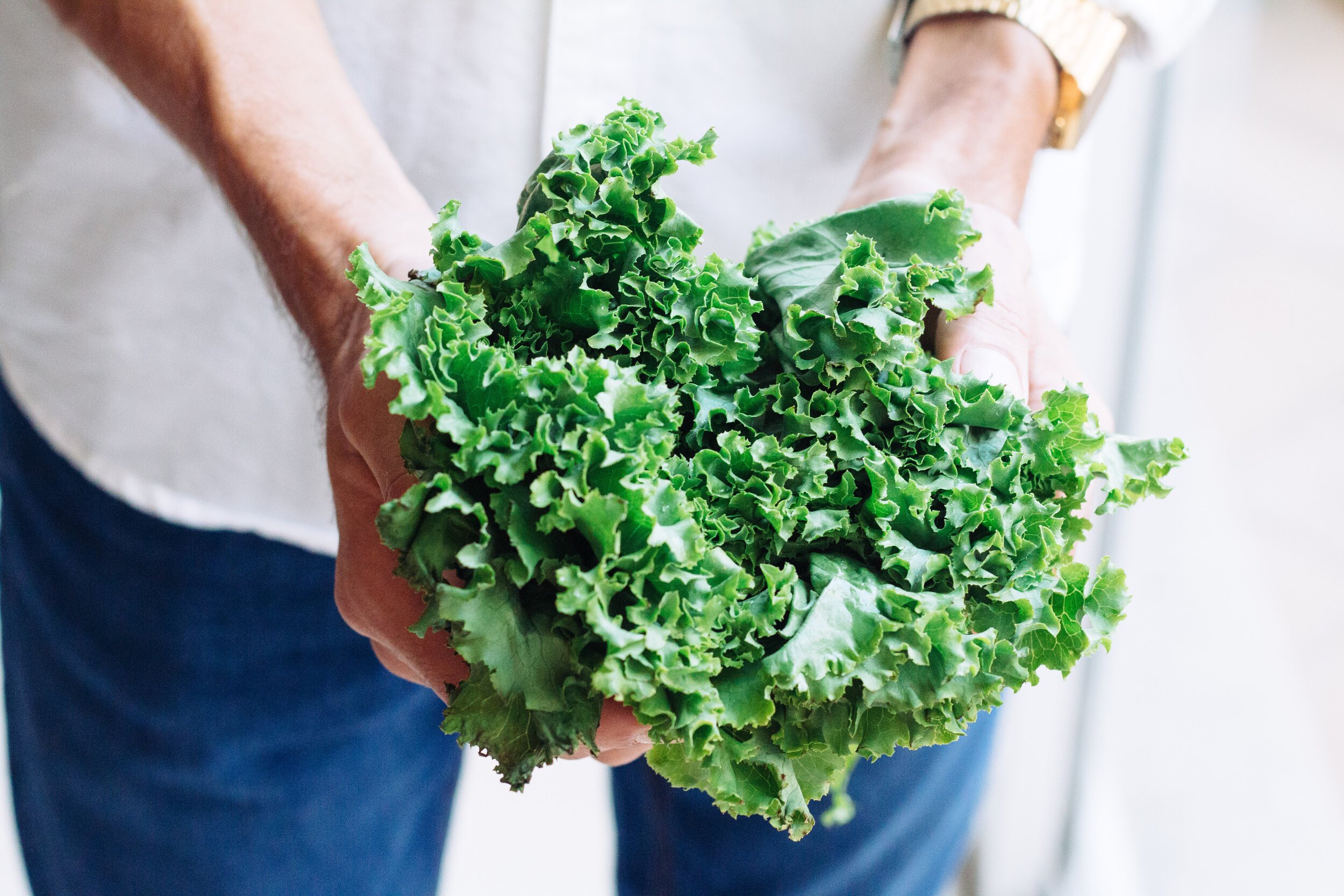 Are bitter greens the secret to good health? Explore how these powerful plants can boost your overall well being.