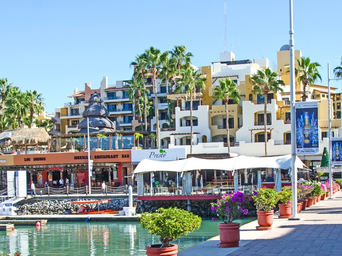 Planning for cabo san lucas weather february? See why it is a favorite month for many visitors!