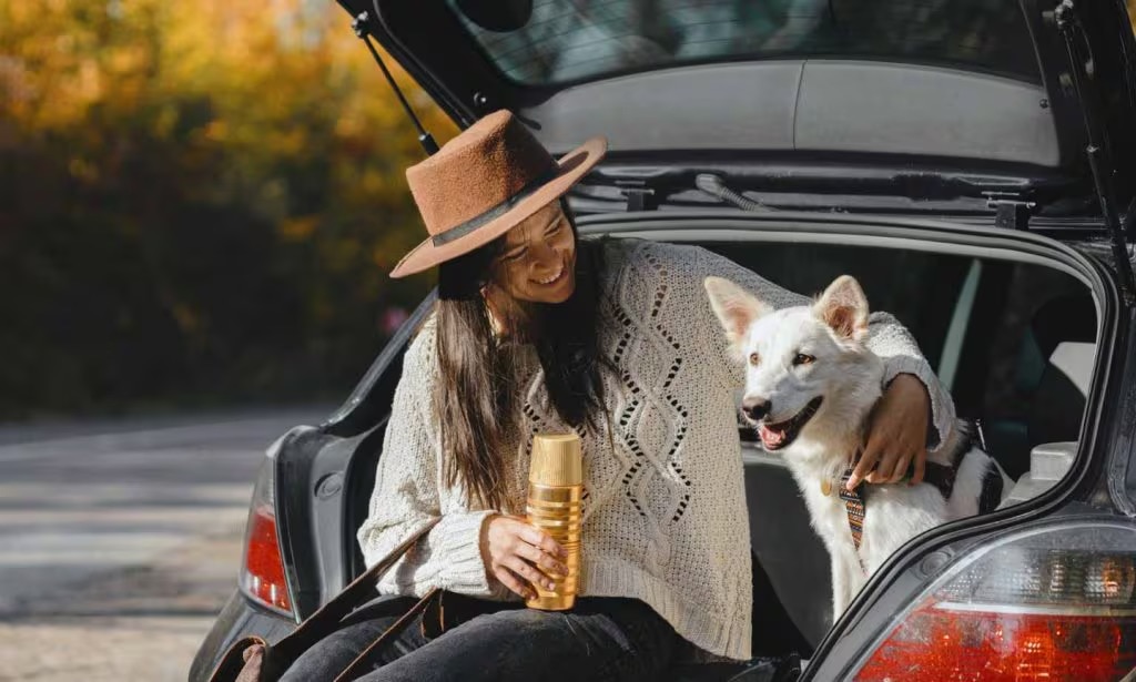 Learning how to travel with pets safely and securely? Here's your easy guide for happy pet adventures.