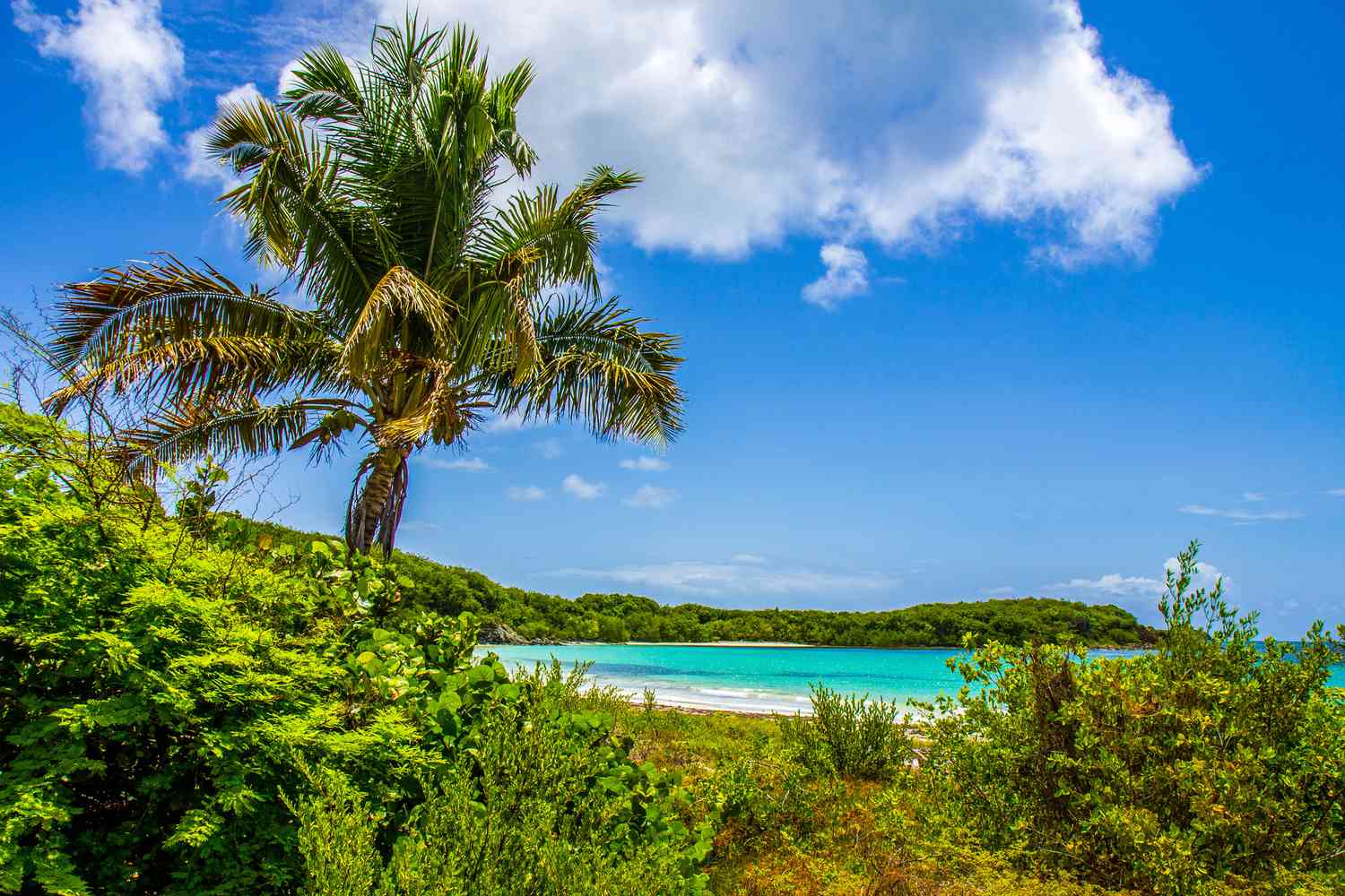 Planning a trip? Puerto Rico weather in Feb guide
