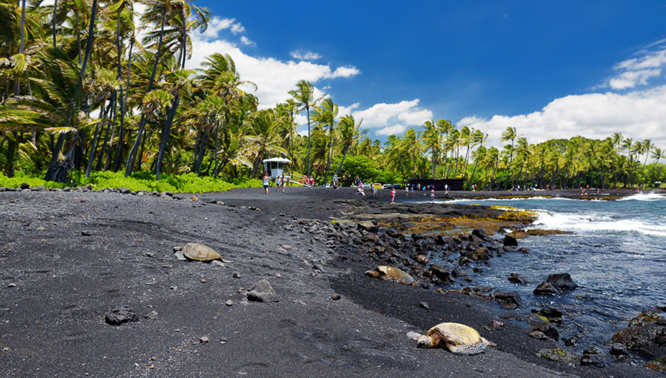 Visit Punaluʻu Beach Black Sand: How To Get There Easily!