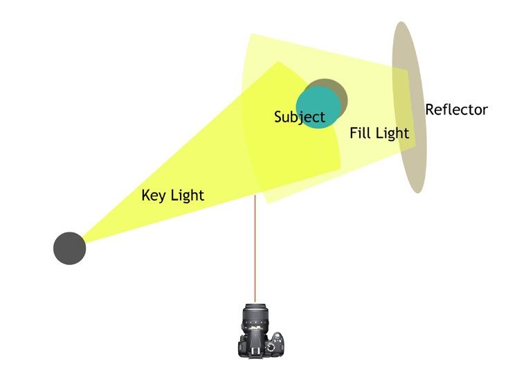 Purpose Of Reflector And Fill Lights Boost Your Images With 3 Simple Steps