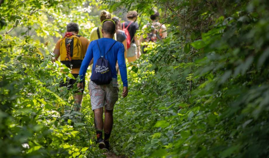 How can I make my hikes Eco-conscious nature walks? (Simple tips for respecting nature every step).