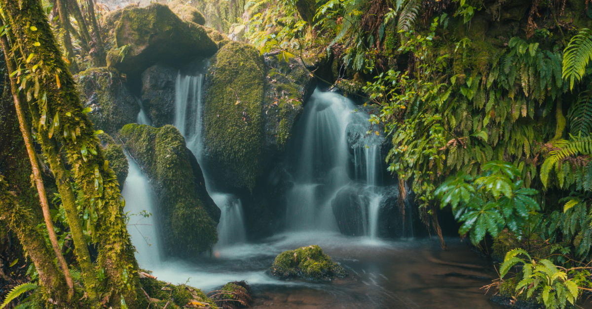 Why choose Conservation tourism experiences for travel? See the powerful positive impact you can actually make.