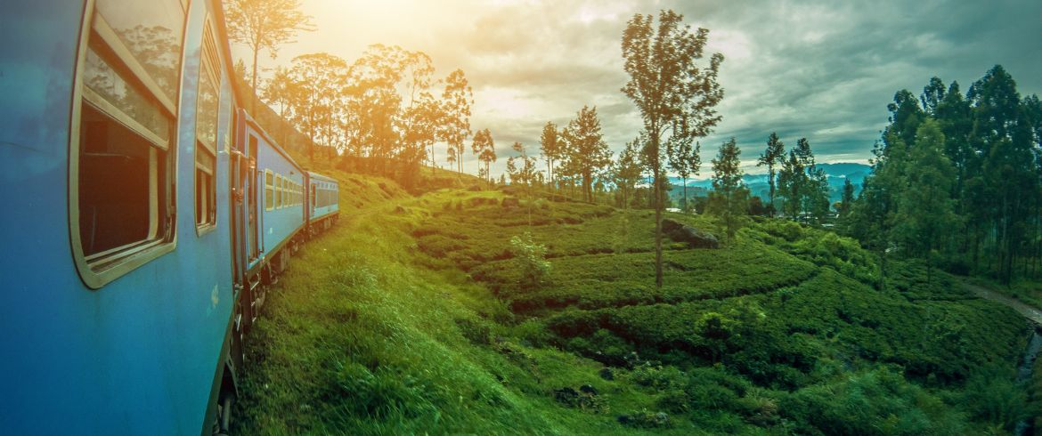 Green transportation for eco-tourists (Making your eco-friendly travel simple and fun for everyone)