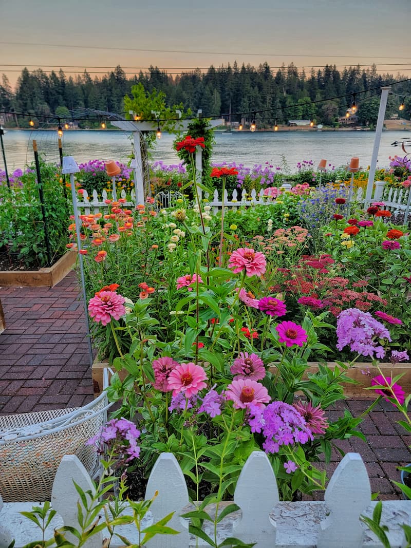 Want your garden to feature flowers with depth? Learn how these special blooms can elevate its aesthetic appeal!