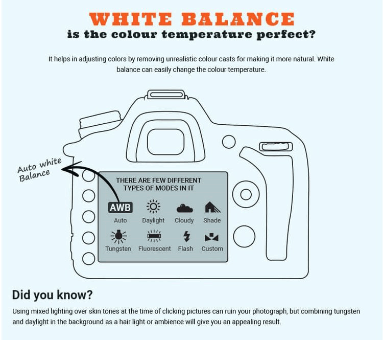 What is manual mode camera? (Understand its basics to quickly improve your photography skills)