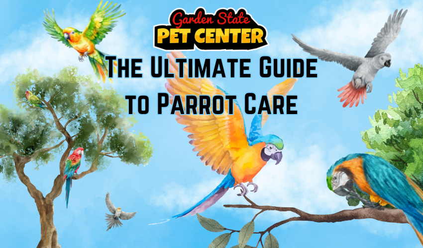 Owning parrots brooklyn (Simple care tips to keep your feathered friend happy and healthy.)