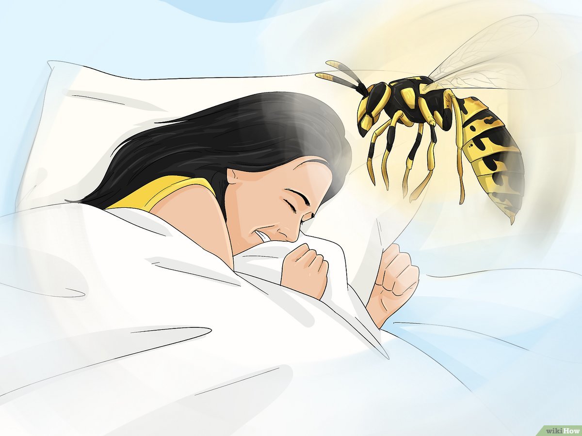 My dream of being stung by a bee was scary! What could this actually mean for me?