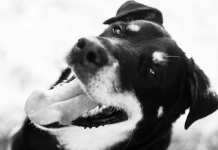 How to Take Great Black and White Photos – 5 Simple Tips for Beginners