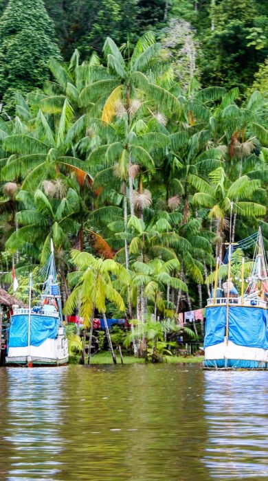 Discovering French Guiana What To Do And See Your Ultimate Adventure Guide