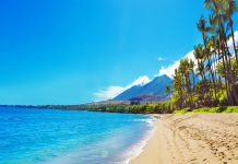 Best tools for booking last-minute international flights price comparison help