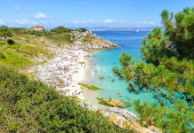 10 Best Things to Do in Port of Spain Today: Must-See Spots!