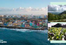 Sustainable city tours