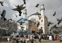 Things to do in afghanistan list (10 amazing experiences now)