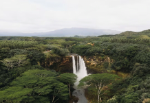 Discovering French Guiana What To Do And See Your Ultimate Adventure Guide