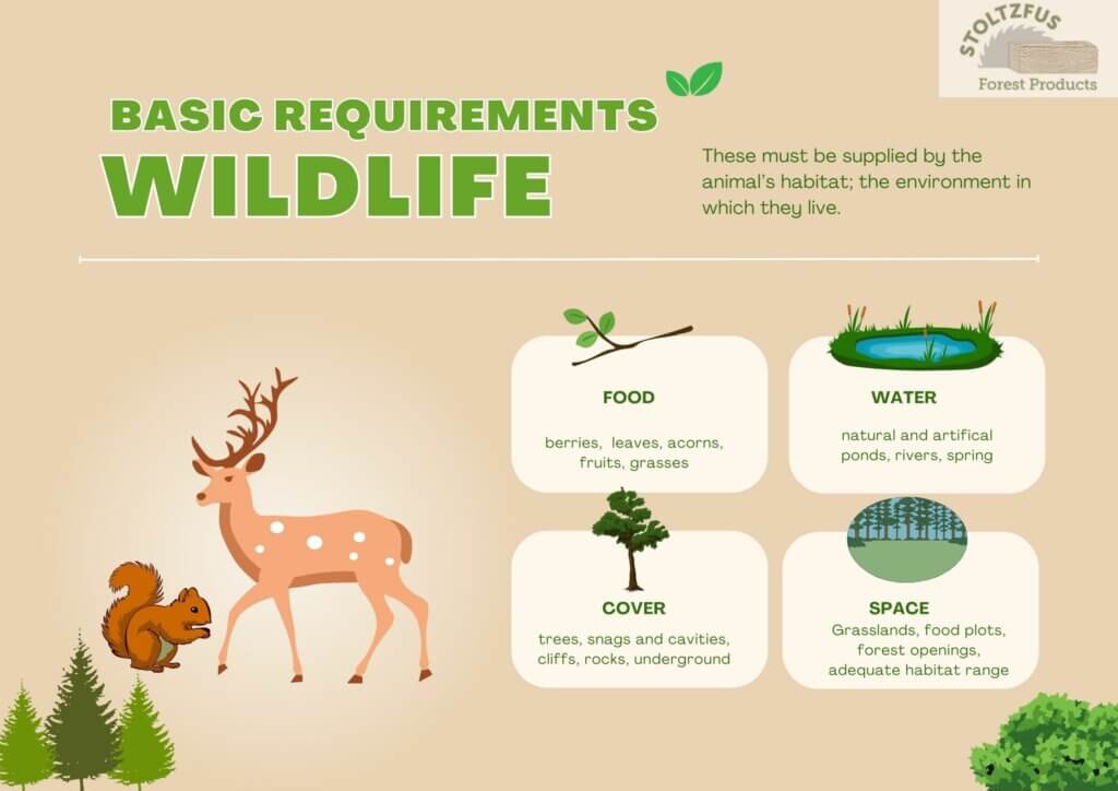 Where to start supporting local wildlife sanctuaries? A quick practical guide