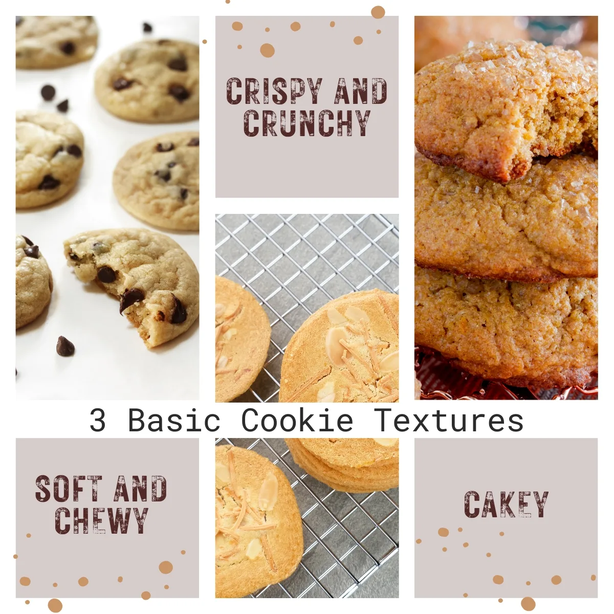 Why Are Belgian Cookies So Crispy Secrets Of Authentic Texture Explained