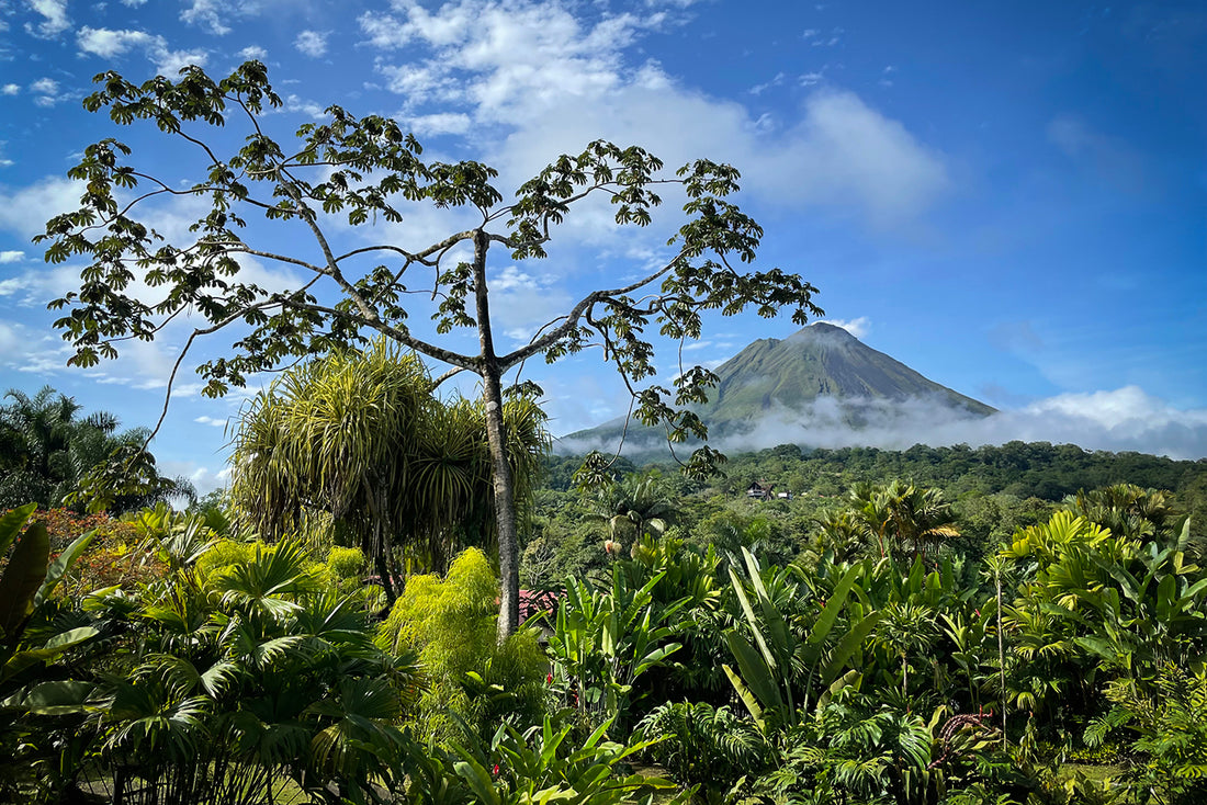 Best Carbon-saving Eco Tourism Spots? Visit These 5 Amazing Destinations Now!