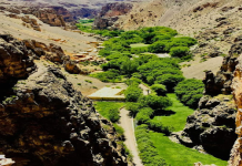 Things to Do in Afghanistan: Top 10 Must-See Spots (Unforgettable Adventures)