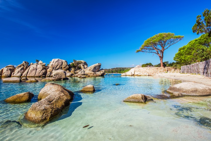 What To Do In Corsica Beaches: Top 7 Spots For Sun And Fun!
