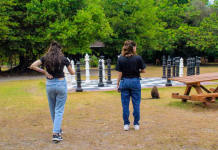 Things to Do in Niger Best Places and Experiences Guide