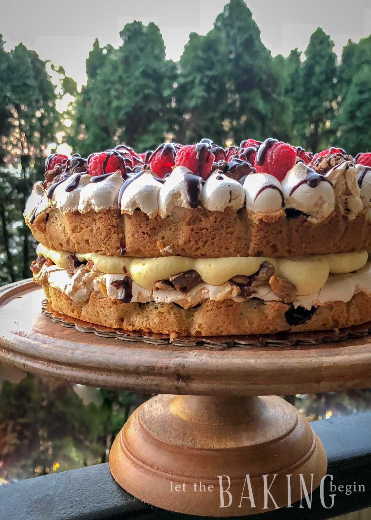 What makes Polish cake special? Compare it with other popular desserts!