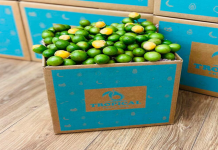 Where to find sweet yellow citrus from china? (Online stores with fast delivery!)