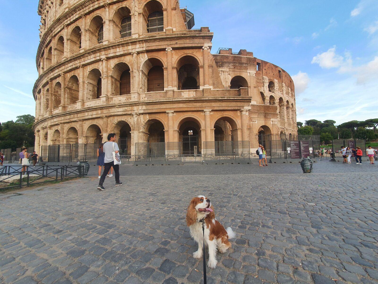 Looking for free Rome Italy fun? Find top 6 attractions here!