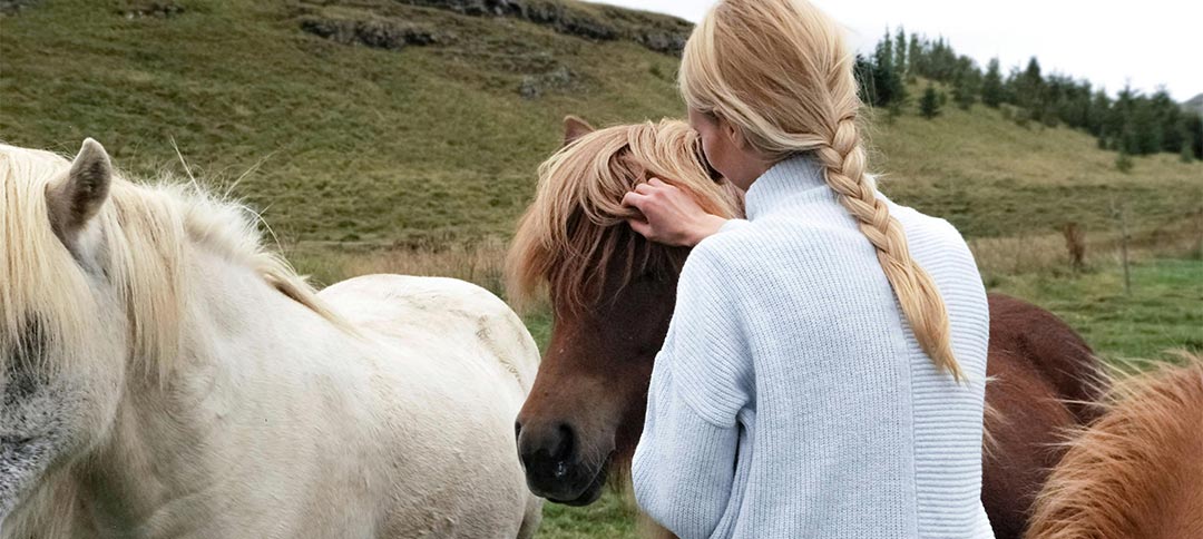 Where to start supporting local wildlife sanctuaries? A quick practical guide