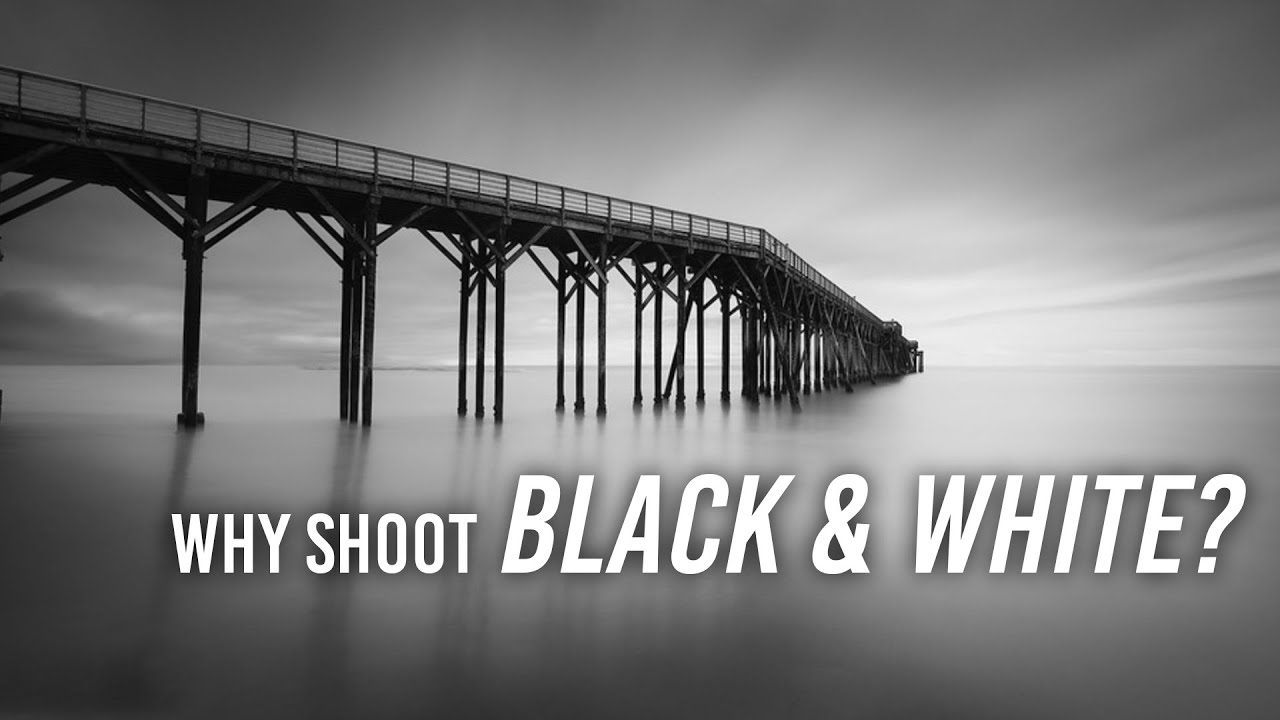 How to Take Great Black and White Photos - 5 Simple Tips for Beginners