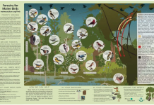 Where to start supporting local wildlife sanctuaries? A quick practical guide