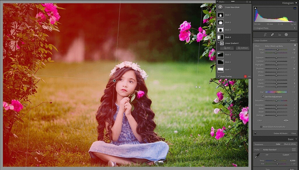 How to Use Gradient Filter in Lightroom Easy Steps for Beginners
