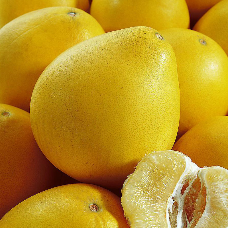 Where to find sweet yellow citrus from china? (Online stores with fast delivery!)