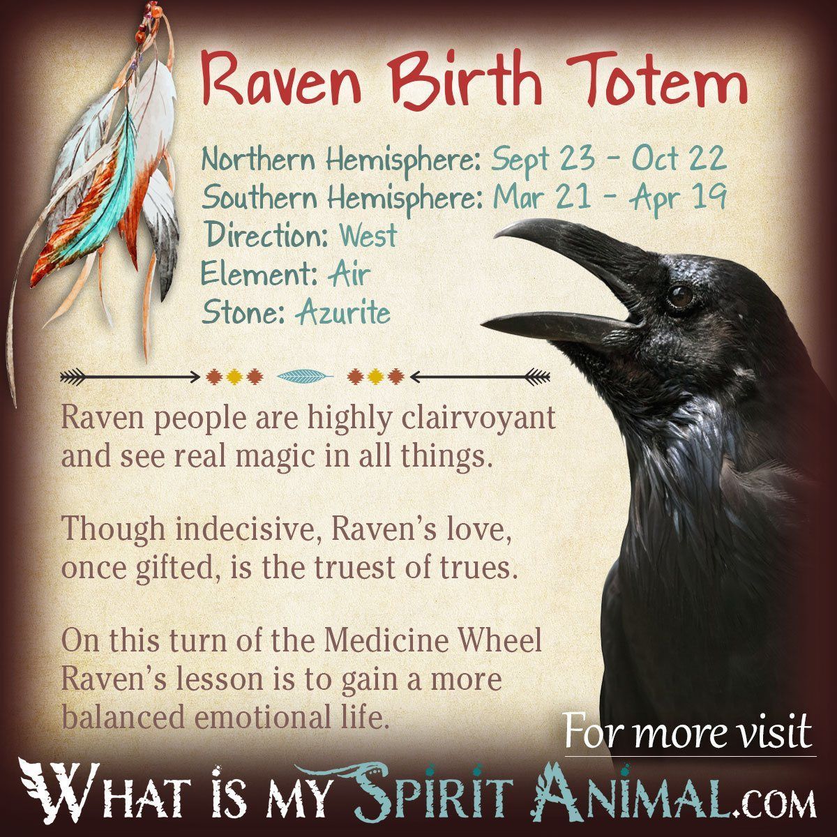 Raven Meaning Spiritual Animal: Ways Raven Spirit Guides Can Help You