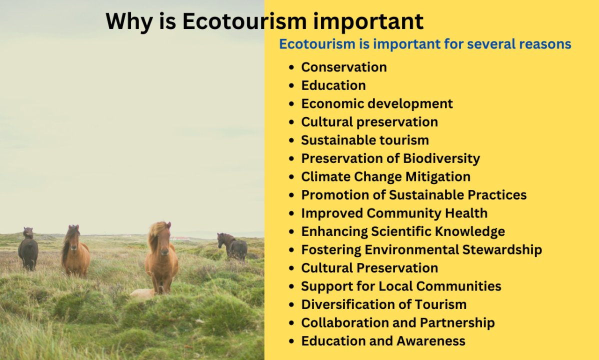 Why Eco-tourism Industry Impact Matters Now? Key Reasons Discussed