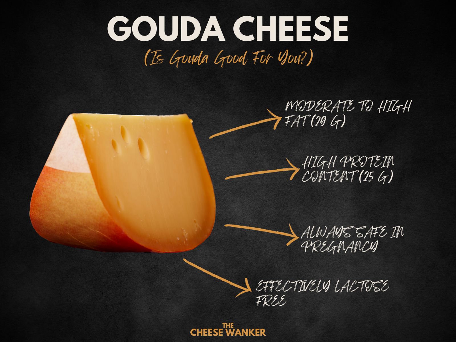 Why is Dutch cheese healthy? (Learn the benefits here)