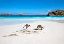 How to get a business visa to Australia online application process demystified