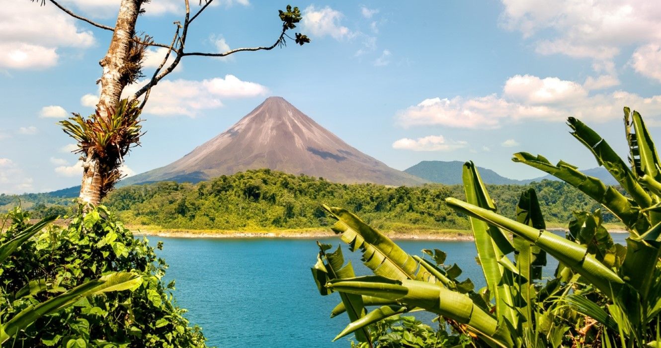 Carbon-reduction travel packages affordable? Top budget green vacations revealed today!