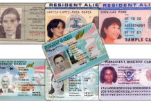 life path 8 how to succeed with 6 simple steps for your journey